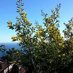 Antemare Bed & Breakfast Noli