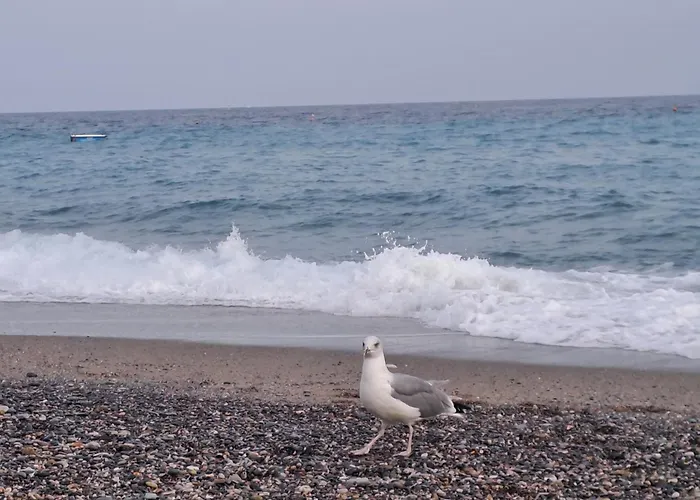 Antemare לינה וארוחת בוקר 4*