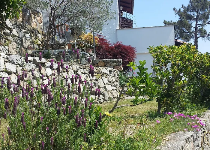 Alojamento de Acomodação e Pequeno-almoço Antemare Noli