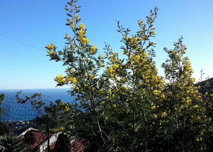 Antemare Alojamento de Acomodação e Pequeno-almoço Noli