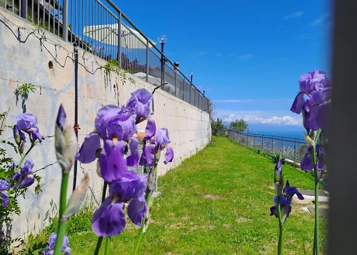 Couette-café Antemare Noli